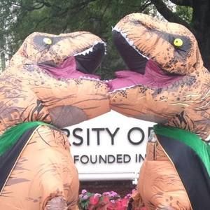 Meet your Posher, Abbey